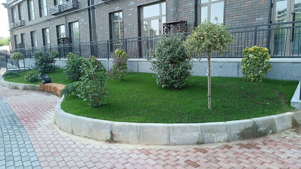 Газон экиш хизмати — 5