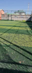 Sun'iy gazon sotiladi 600 kv