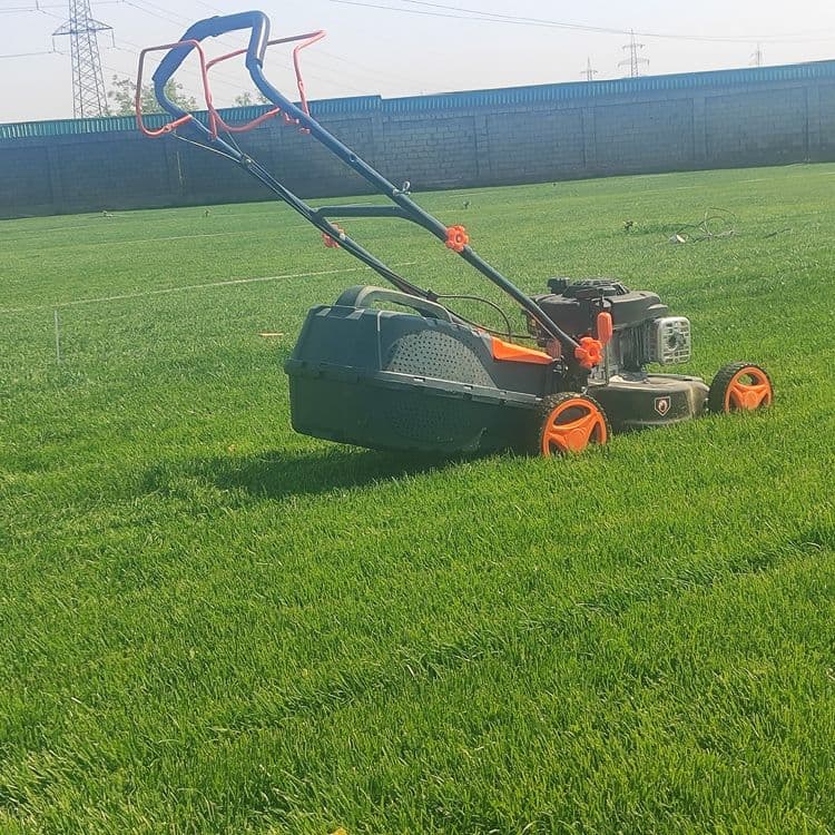 Gazon yotqizamiz lanshaft hizmati ,agro doktr bor — 1