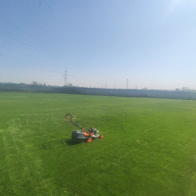 Gazon yotqizamiz lanshaft hizmati ,agro doktr bor — 2