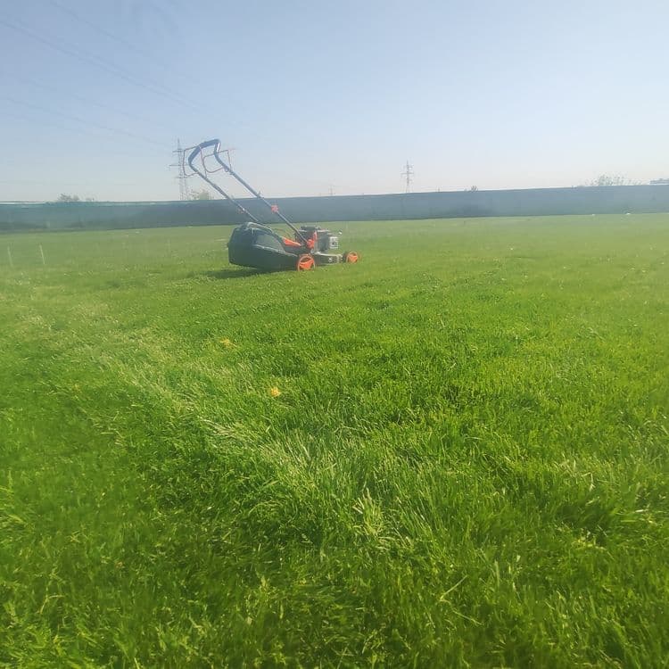 Gazon yotqizamiz lanshaft hizmati ,agro doktr bor — 3
