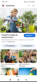 Уход за комнатными и офисными растениями..за газоном.за садом.