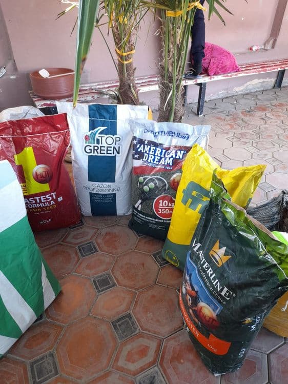 Biogumus va Gazon Urugʻlari Sotiladi — 6