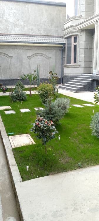 Gazon landshaf dizayin xizmati — 5