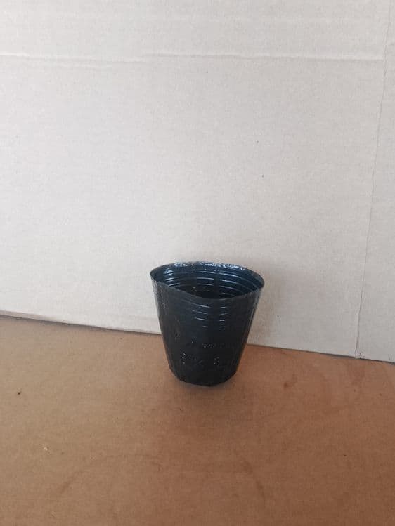 Kalish stakanchik razmeri 8x8 12x13 15x15 18x18 razmeri bor optm narxd — 1