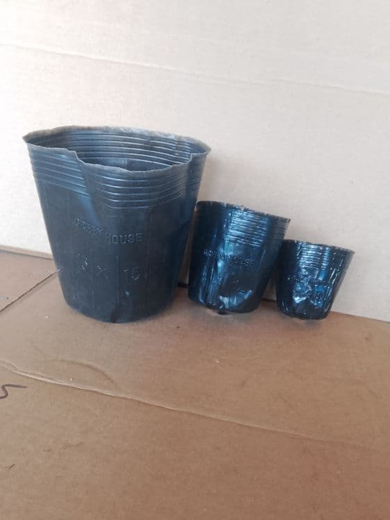 Kalish stakanchik razmeri 8x8 12x13 15x15 18x18 razmeri bor optm narxd — 4