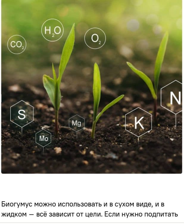 Чернозем Биогомус Унверсал Оптом Продажа — 5