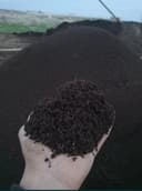 Ooo. Biogomes agroservis.mahsultlar