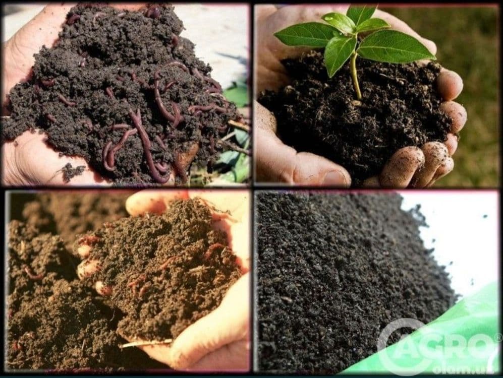 Ooo. Biogomes agroservis.mahsultlar — 2
