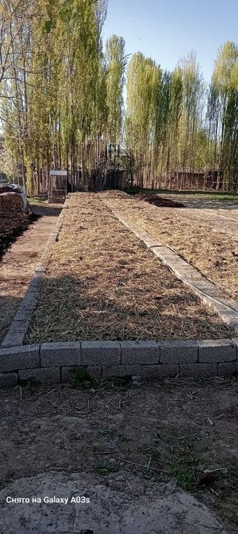 Yangiyõl biogomus sotiladi. — 2