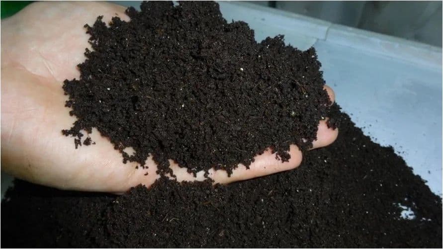 Biogumos maxsuloti bor ‼️Narxini kelishamiz  Koproq olganga skidka — 3