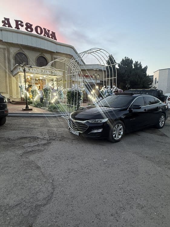 Kortej Buxara Tahoe Tayota Mers Malibu 2 xizmati — 8