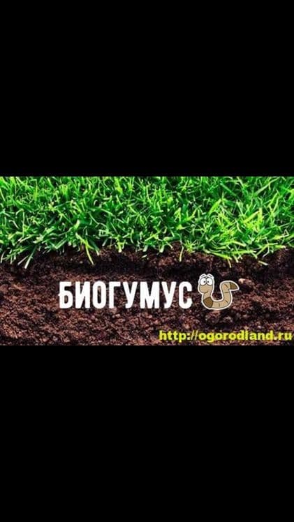 Удобрение для вашего сада(Биогумус) — 4
