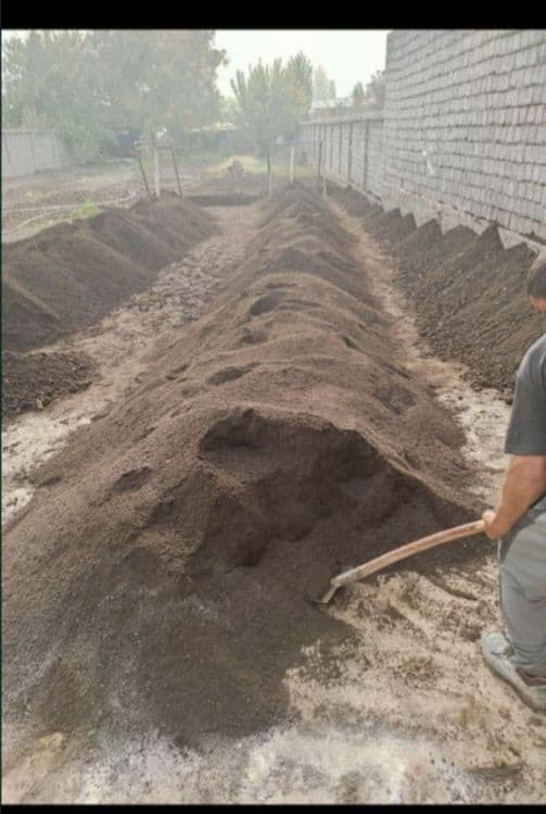 Bio goms eng foydali. Xosilni 2.3 barobargachon kopaytirib beradi — 1