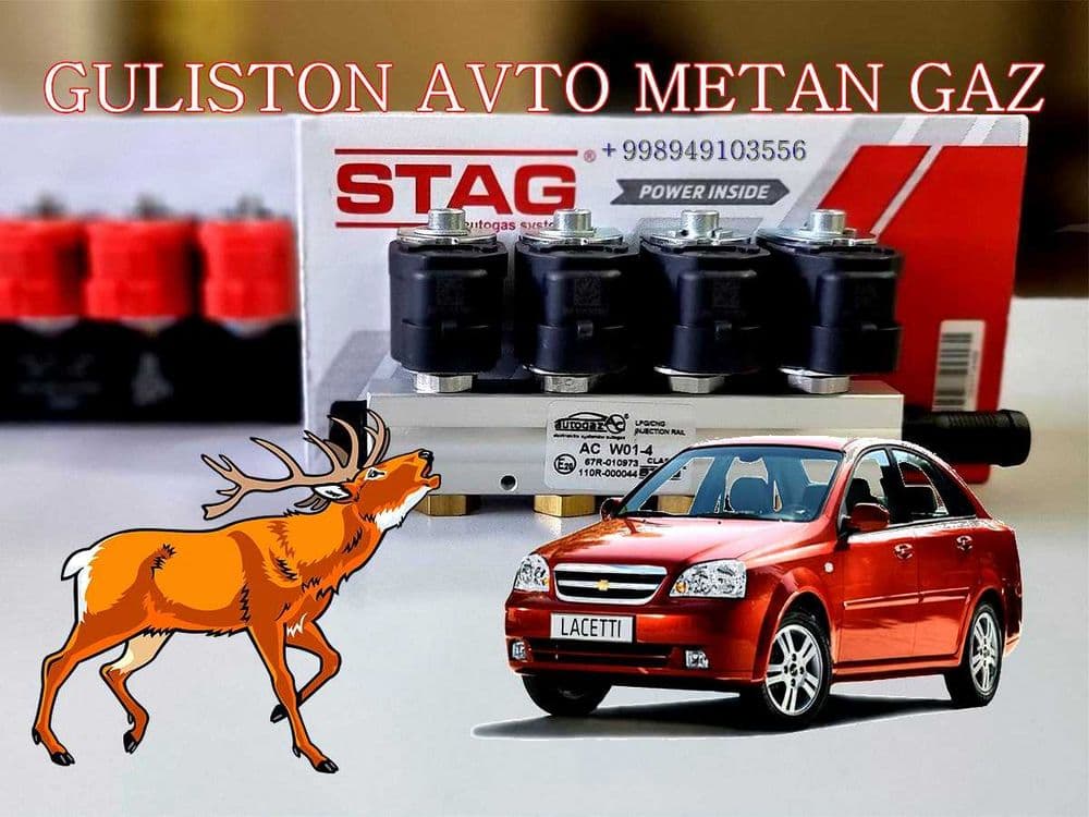 Metan gaz ustanovka 100 % — 6
