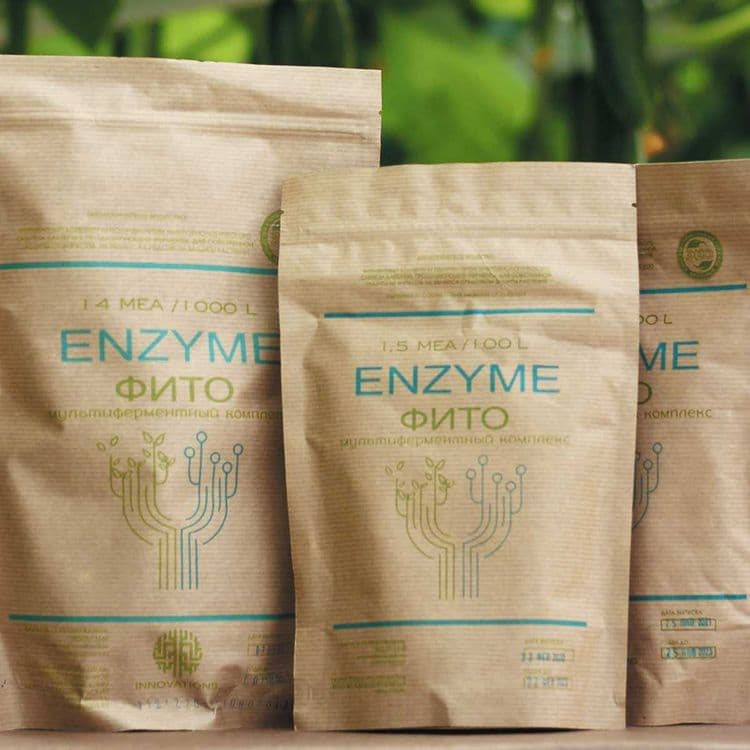 Enzyme-FITO Мультиферментный комплекс Энзим-Фито против вирусов — 1