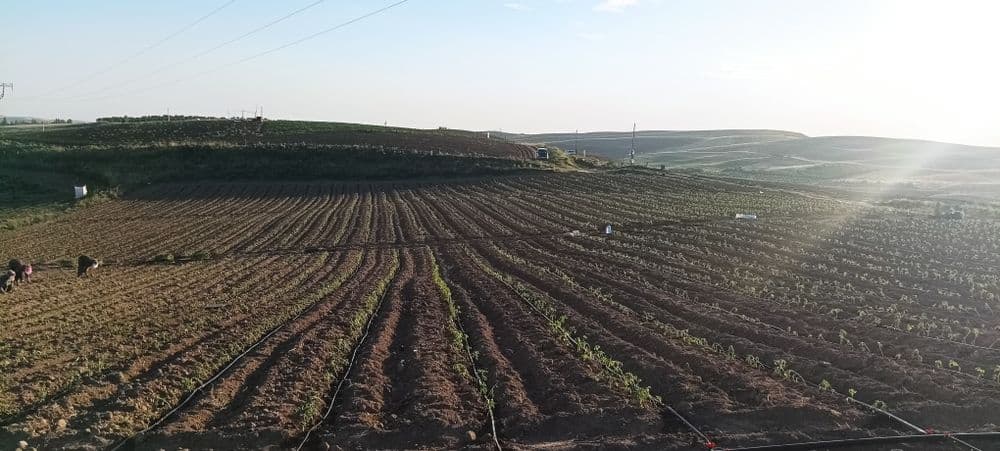Халол Музорабага инвестор керак — 3