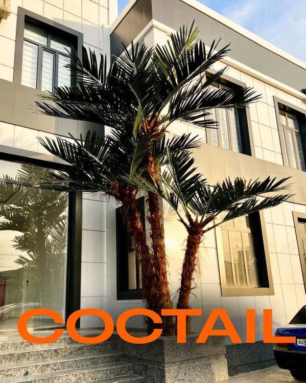 Sun'iy eko palmalar | bepul dizayn loyihasi | 30% chegirma — 2