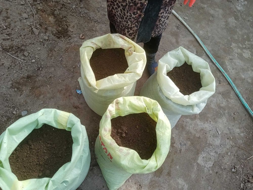 Kaliforniya biogomus nurisi sotiladi — 1