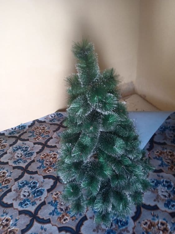 Yangi yil archasi sotiladi — 1