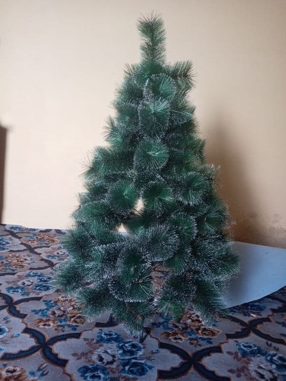 Yangi yil archasi sotiladi — 3