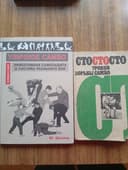 Уличное самбо Сто уроков борьбы  самбо