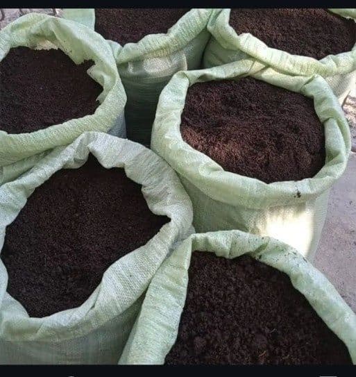 Biogumuz tabiiy òĝut — 1