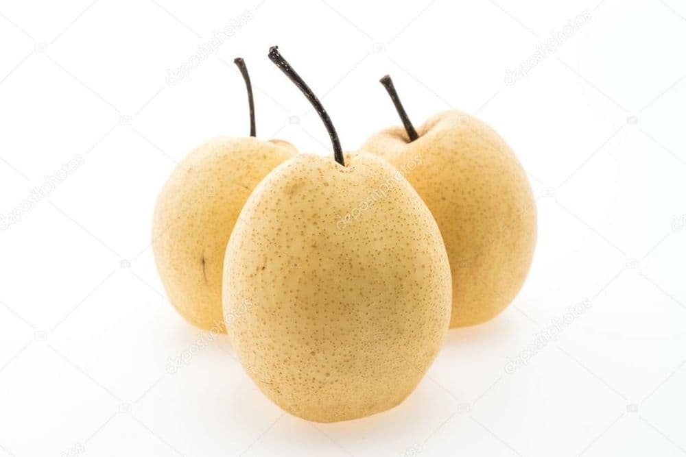 Nok ko'chatlar sotiladi payvandtagi nok — 3