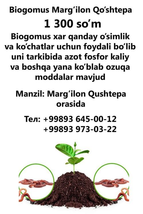 Biogomus sotamiz — 1