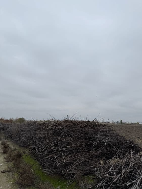 Otin (дрова) — 5