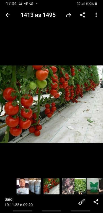 Ассалому алейкум биогумусга кизиканлар — 2