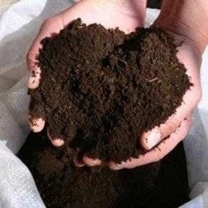Biogumus, Биогумус — 2