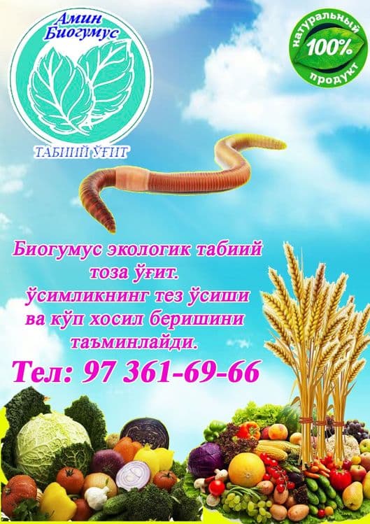 Biogumus, Биогумус — 5