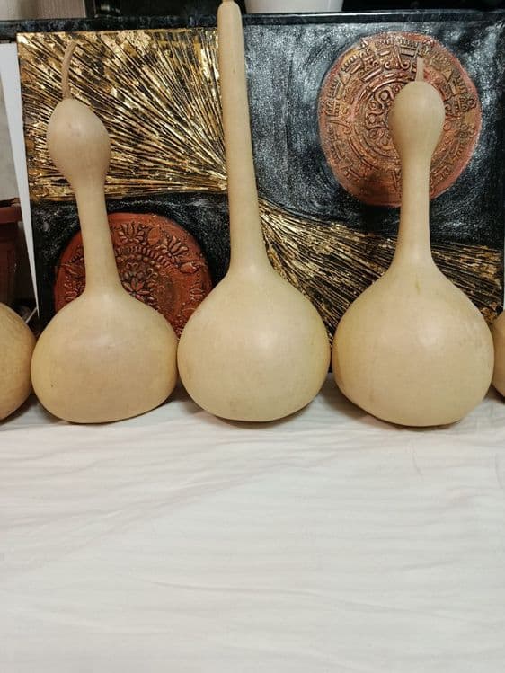 Продаю декоративные тыквы лагенария — 1