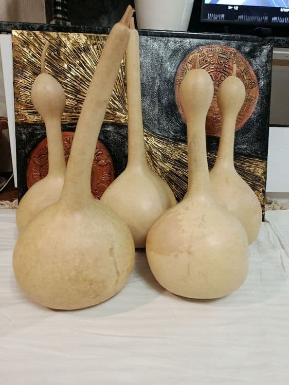 Продаю декоративные тыквы лагенария — 3