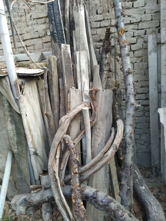 Продам дрова фруктовые и доски — 2