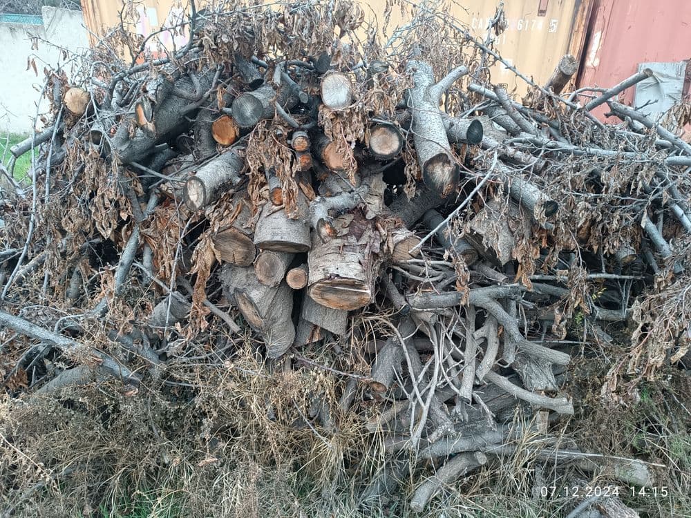 Ўтин Дрова сотамиз. Мевали дарахтларники. — 2