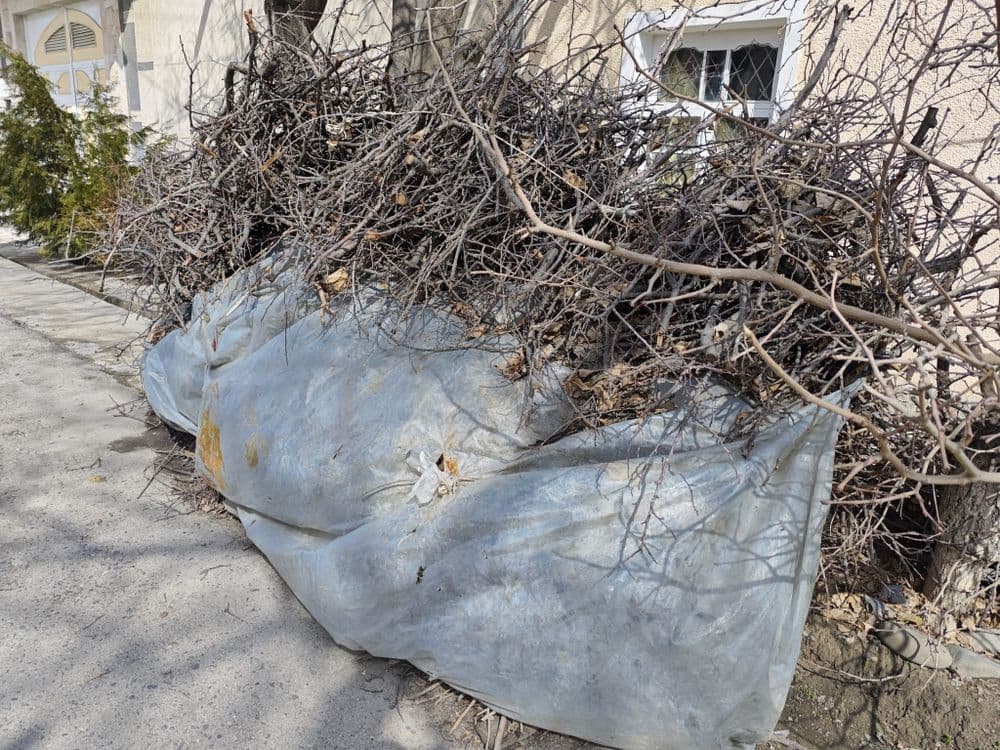 Продаются Дрова. — 3