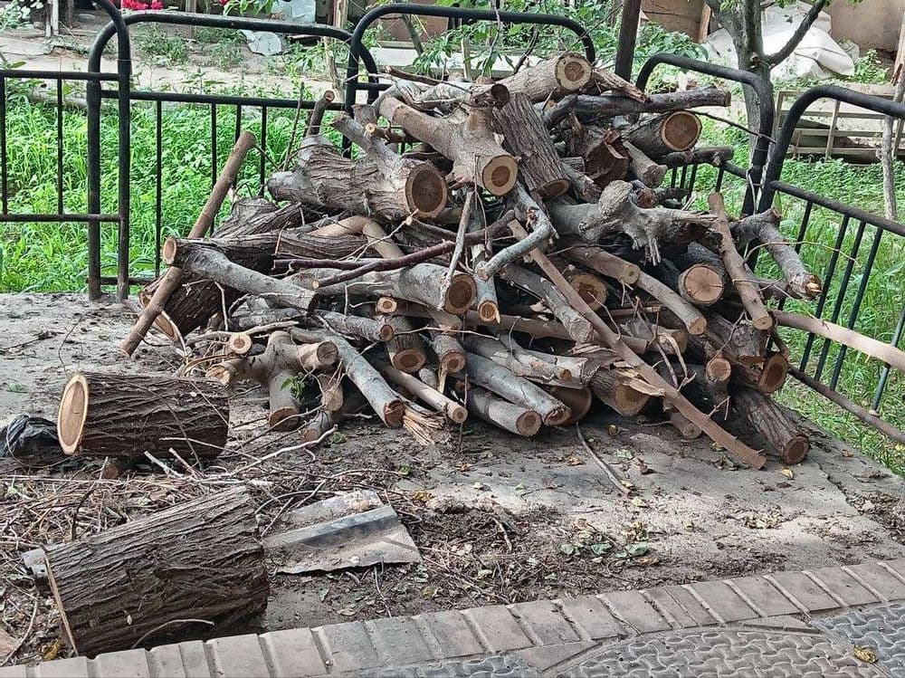 Отын,  отын курак, дрова otin kurak — 2