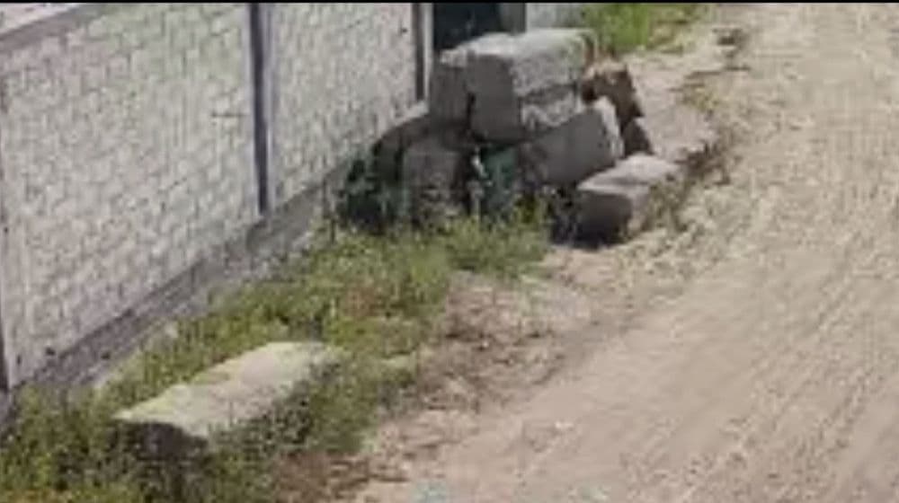 Бетонные, цокольные блоки, podval bloki — 1