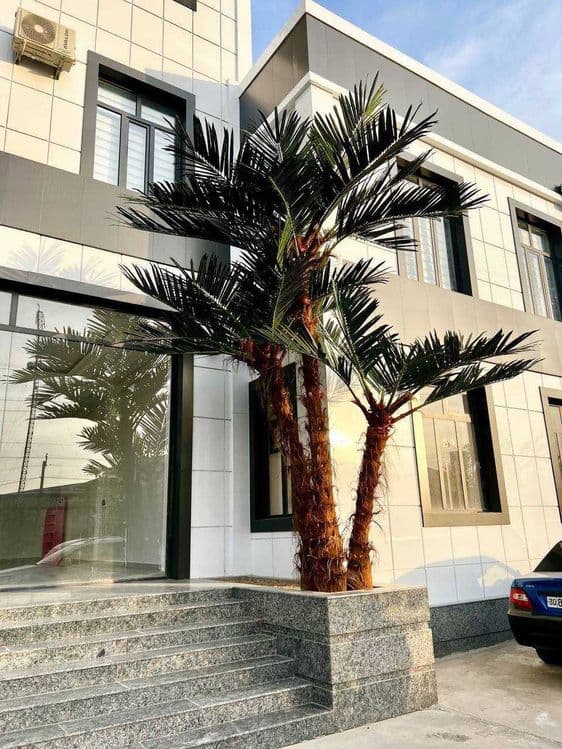 Sun’iy palma daraxtlari | ECO PALMA | 30% chegirma — 5