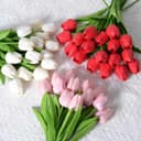 Цветы Тюльпаны Buket gullar