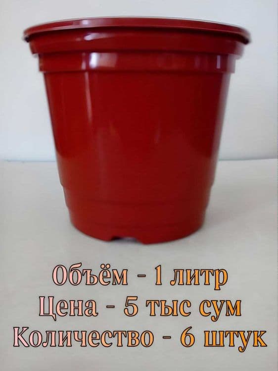 Разнообразные горшочки и ГРЯДКА для растений . — 5