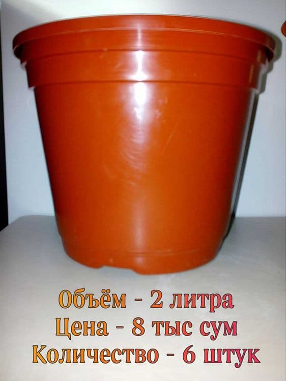 Разнообразные горшочки и ГРЯДКА для растений . — 6