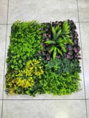 Фитостена 50×50 см – Стильный декор без забот