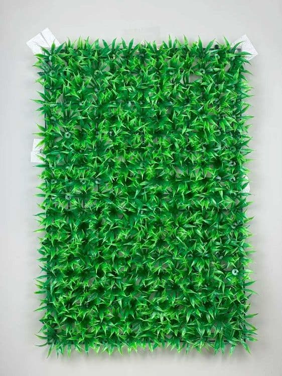 Фитостена 60×40 см — самшит без ухода — 2