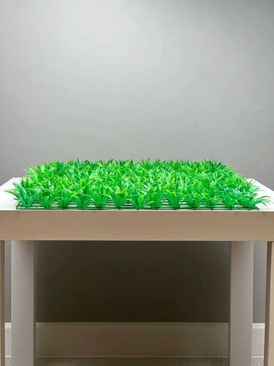 Фитостена 60×40 см — самшит без ухода — 3