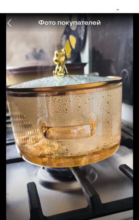 Кастрюля из боросиликатного стекла  1,8 л. — 5