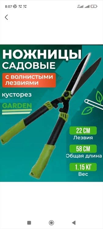 Ток кайчи большой, Секатор и ножницы для стрижки — 2
