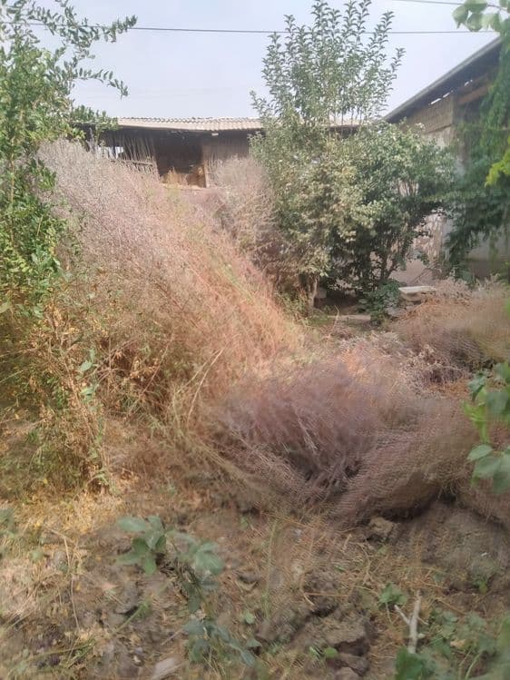 Qauli wipirgilar sotiladi 25000mingdan — 2